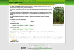 Captura de pantalla tropical.theferns.info