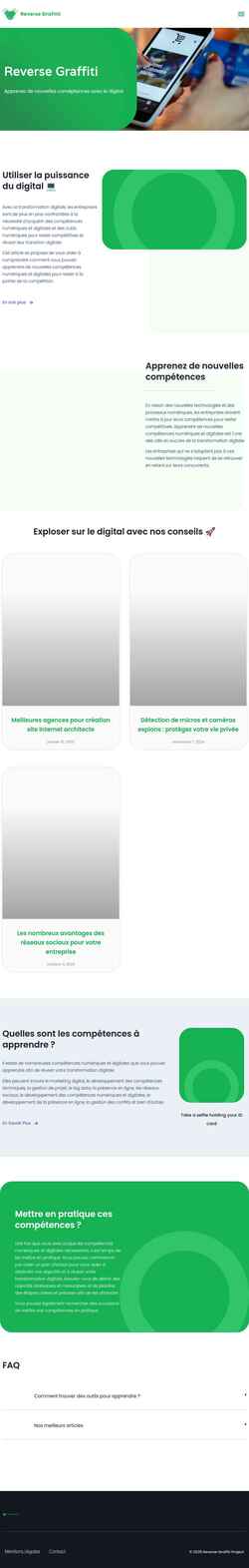 Screenshot reversegraffitiproject.com