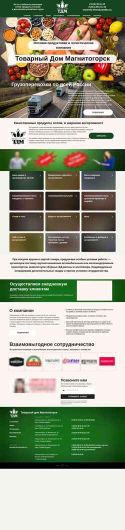 Скриншот td-mag.ru