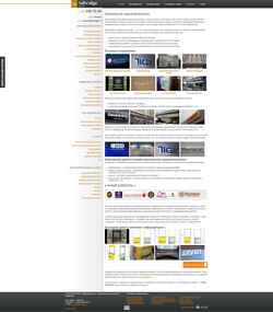 Screenshot adbridge.ru