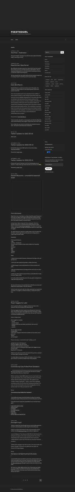 Снимак екрана feedthegirl.com