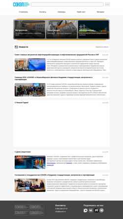 Snímek obrazovky www.sonel.ru