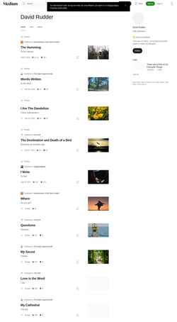 Képernyőkép davidrudder.medium.com