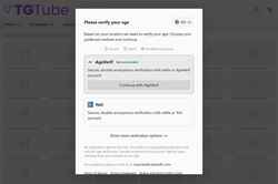 Скриншот www.tgtube.com