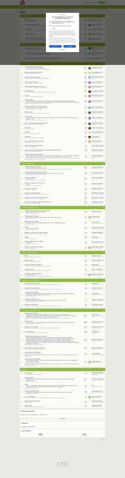 Zrzut ekranu www.stroimdom.com.ua