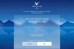 Captura de pantalla www.greygoose.com