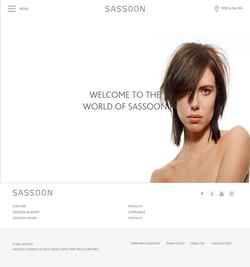 Ekran görüntüsü www.sassoon.com