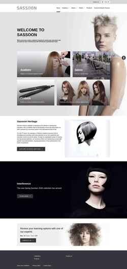 Снимак екрана sassoon-global.com