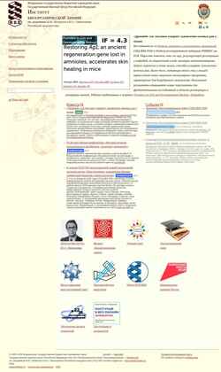 Screenshot www.ibch.ru