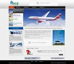 Captura de pantalla www.aceinsuranceindia.com