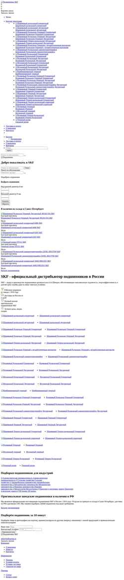 Ekran görüntüsü www.skfbearing.ru