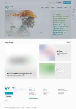 Captura de pantalla vps-international.com