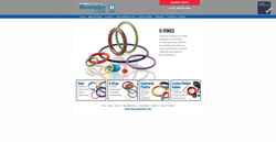 Screenshot www.allsealsinc.com