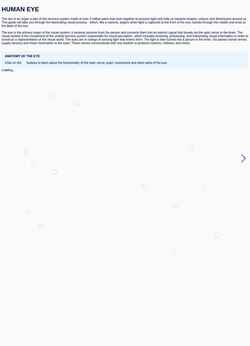 Skjermdump interactive-human-eye-project.vercel.app