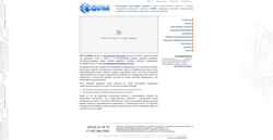 Screenshot www.s-form.ru