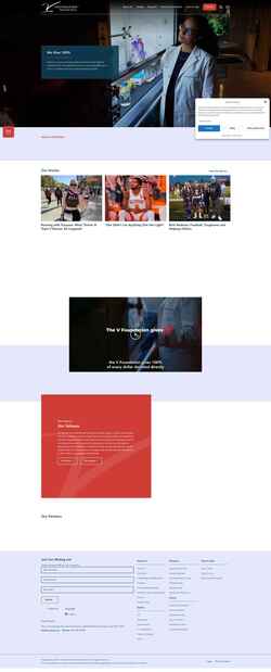 Screenshot www.v.org