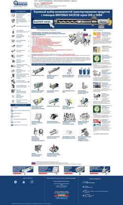 Zrzut ekranu www.pmserv.com
