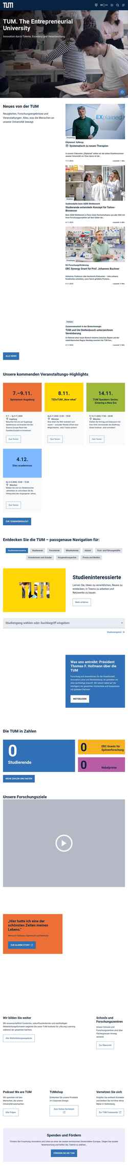 Skærmbillede www.tum.de