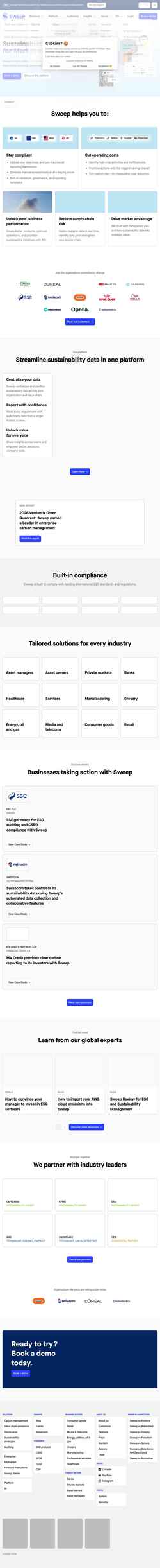 Snímka obrazovky www.sweep.net