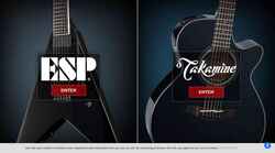 Скриншот www.espguitars.com