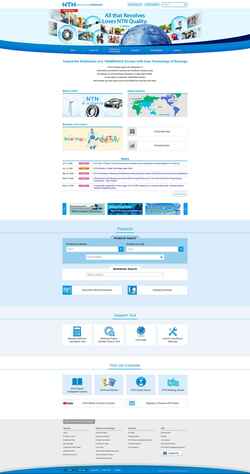 Screenshot www.ntnglobal.com