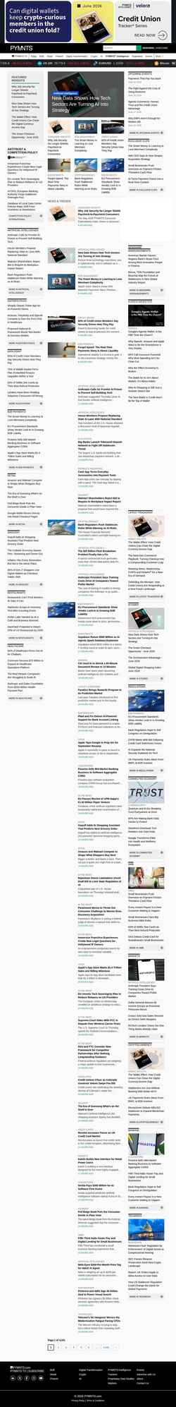 Skjermdump www.pymnts.com