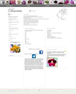 Schermafbeelding dimetris.com.ua