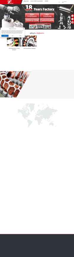 Screenshot ml.ttmotor.com