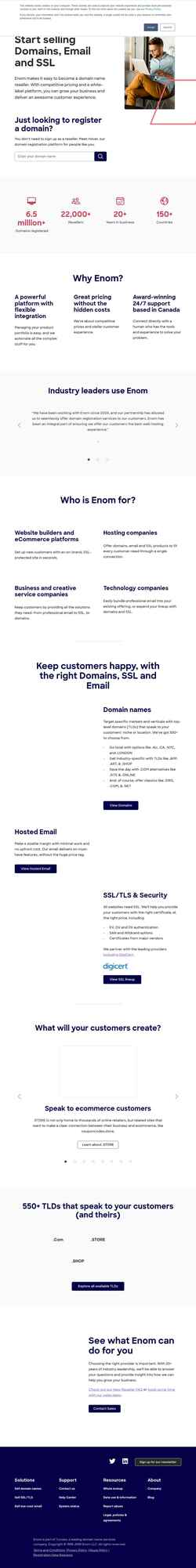 Ekran görüntüsü www.enom.com