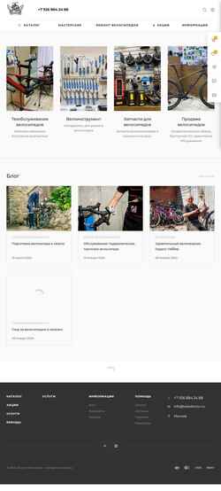 Skærmbillede velodoctor.ru