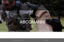 Screenshot www.ascomannis.com
