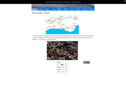 Screenshot www.berja.com