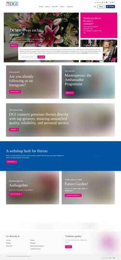 Screenshot www.dgi.nl