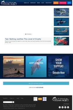 Snímek obrazovky www.dolphinproject.org
