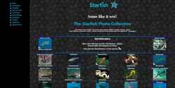 Capture d'écran starfish.ch