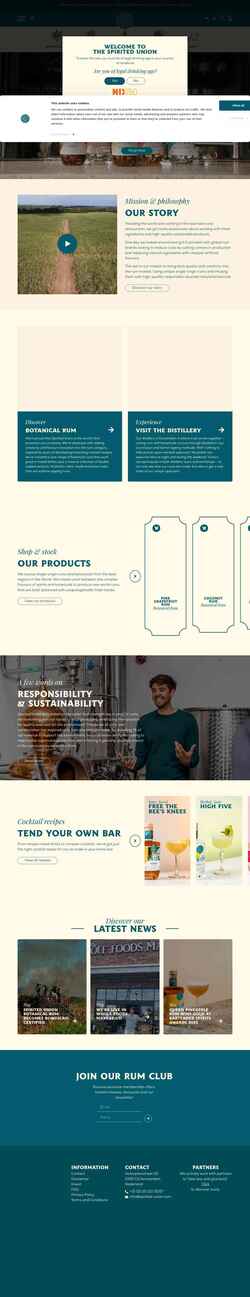 Zrzut ekranu spirited-union.com