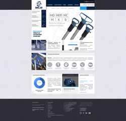 Screenshot www.belsi.ru