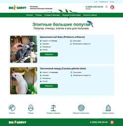 Snímek obrazovky www.bigparrot.ru