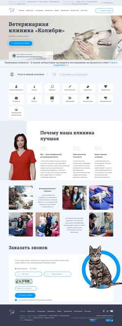 Zrzut ekranu k-vet.ru