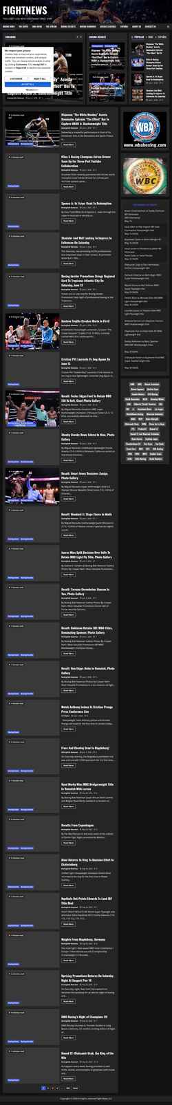 Schermata fightnews.com