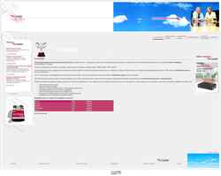 Screenshot con-tel.ru