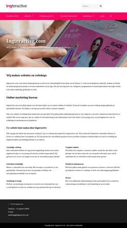 Screenshot www.ingteractive.com