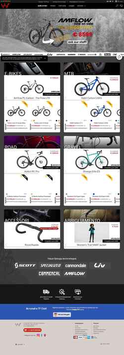 Captura de pantalla www.theflow.bike