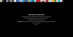 Skærmbillede livenow.news