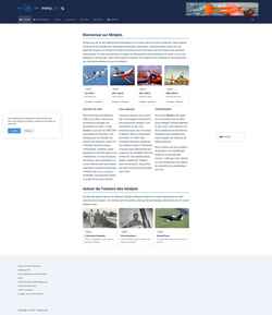 スクリーンショット minijets.org