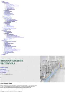 Captura de pantalla www.assay-protocol.com