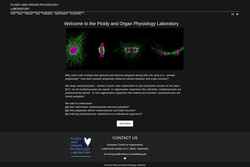 Screenshot www.ccwulab.com