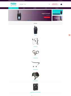 Screenshot holse-group.ru
