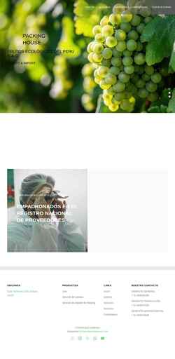 Screenshot feperusac.com