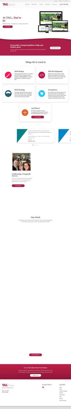 Ekran görüntüsü tagonline.com